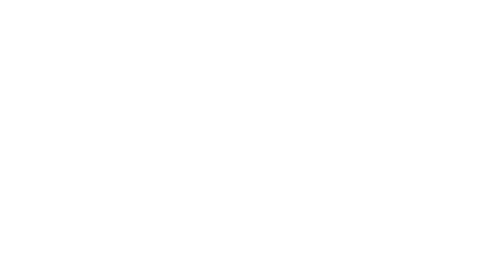 IMG-Virtuoso_Logo
